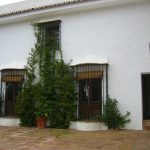 1entrada desde jardin con plantas